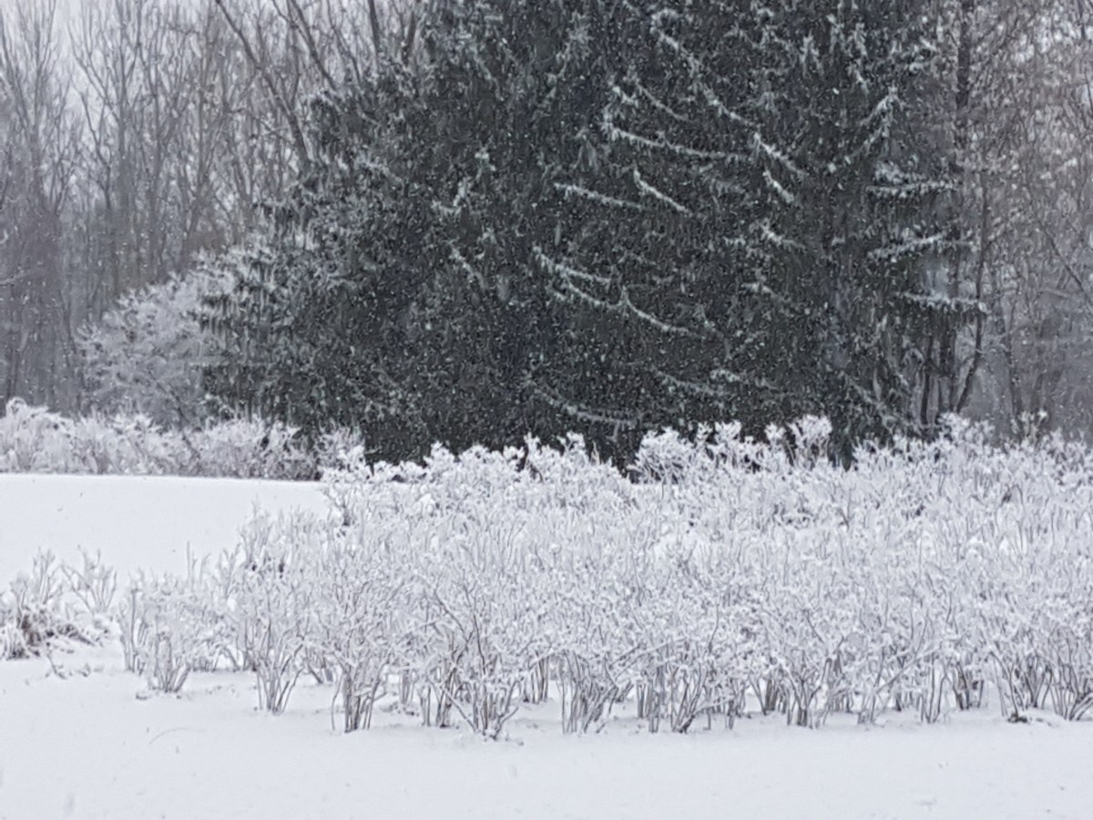 Season 2023 will soon be&nbsp;here!